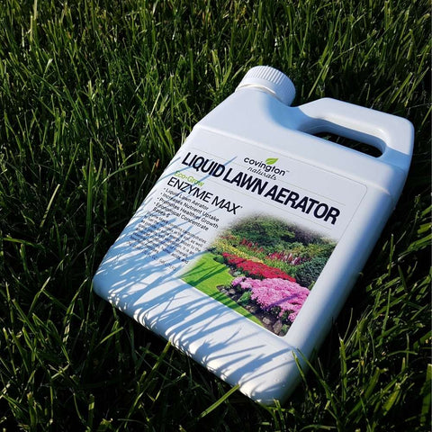 Lawn Care Setup for Beginners