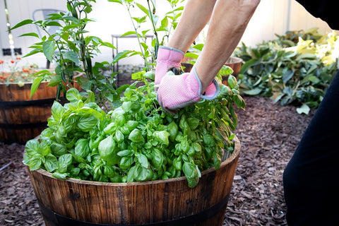 hands in garden