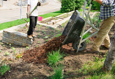 compost mulch