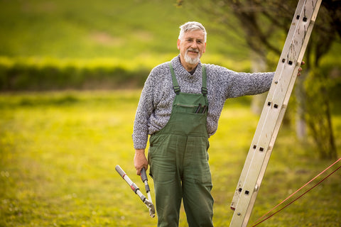 man on ladder with pruning shears