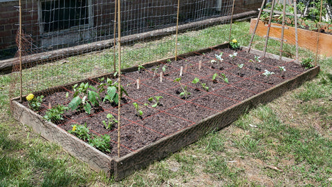 Raised garden bed