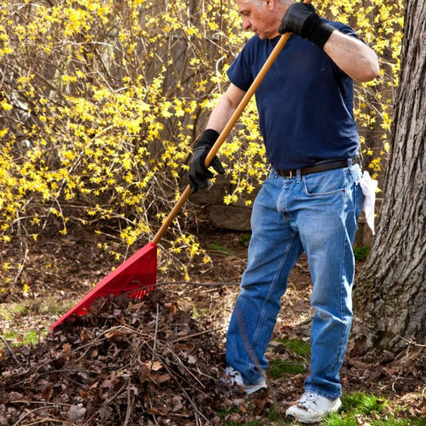 yard cleaning