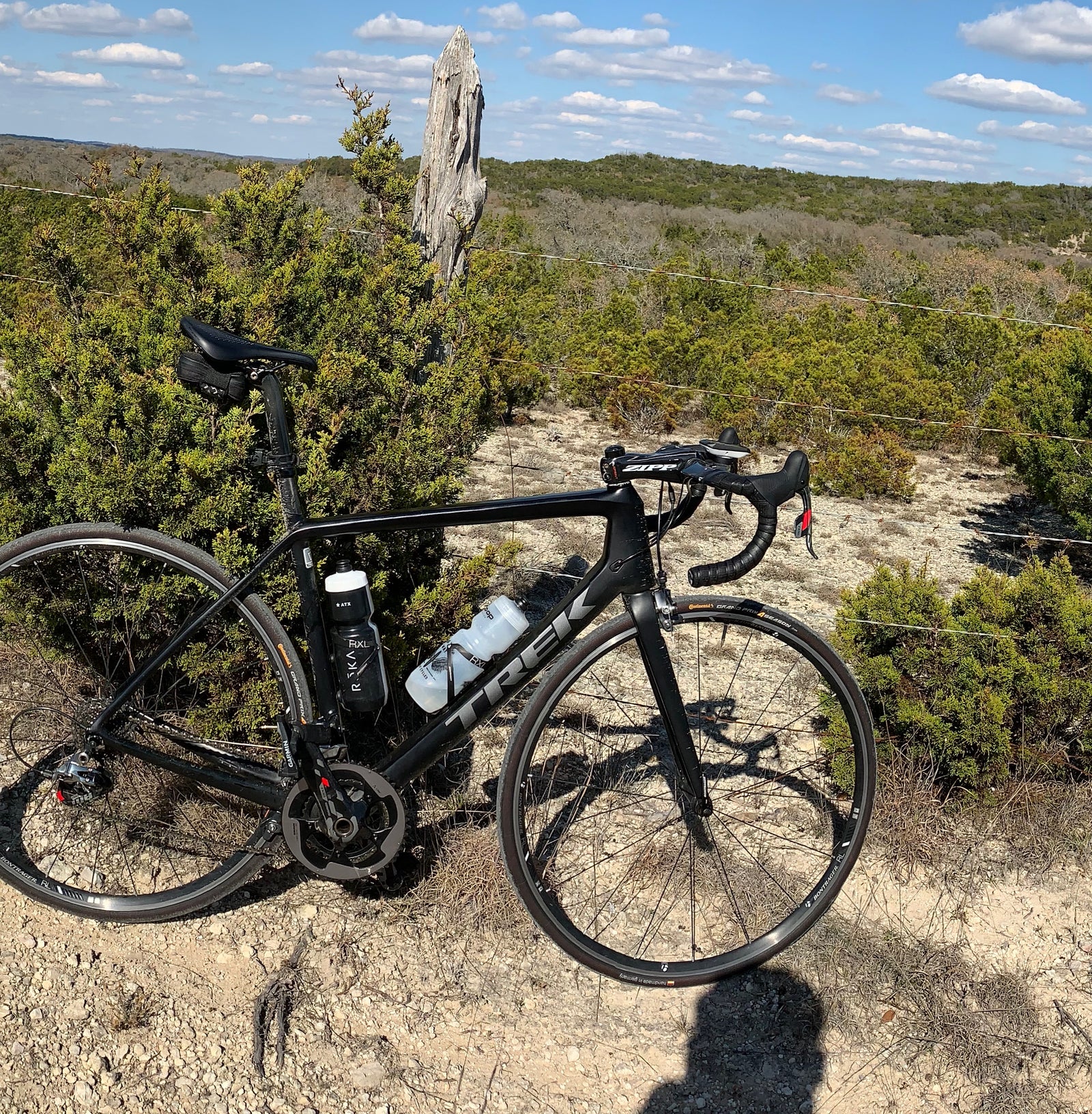 buy used trek road bike