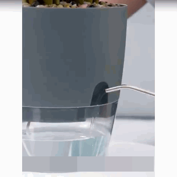 RootRefresh™ - Self Watering Pot