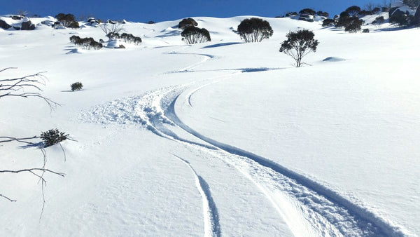 Backcountry skiing in Australia