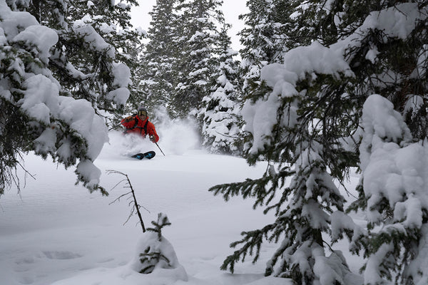 Happy skier in the trees