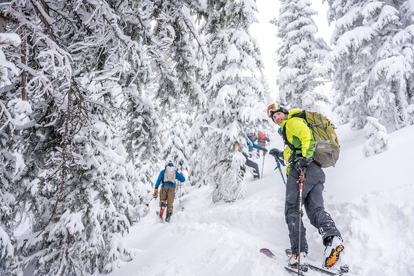 A skier goes uphill in some snowy trees.