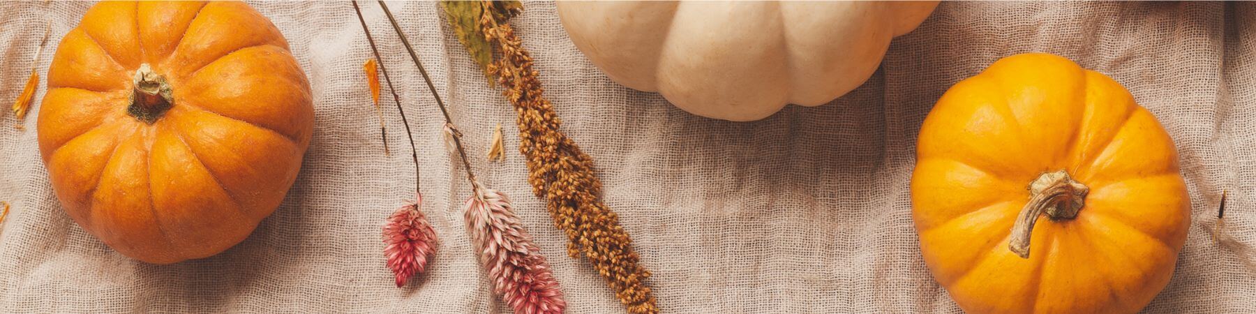 Colourful pumpkins on a linen canvas