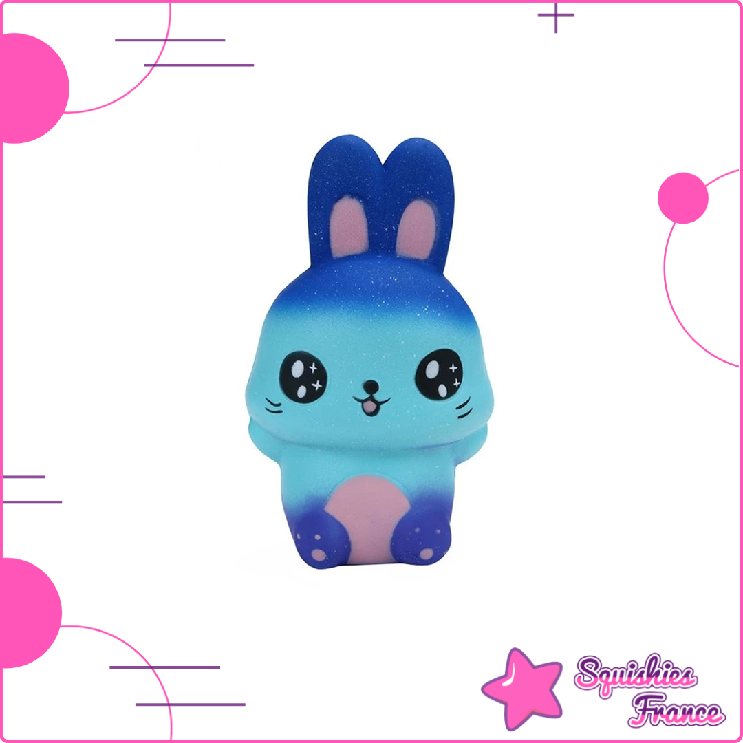 Squishy+Lapin+Galaxie+-+Animaux,+Galaxie,+Kawaii+-+Squishies+França