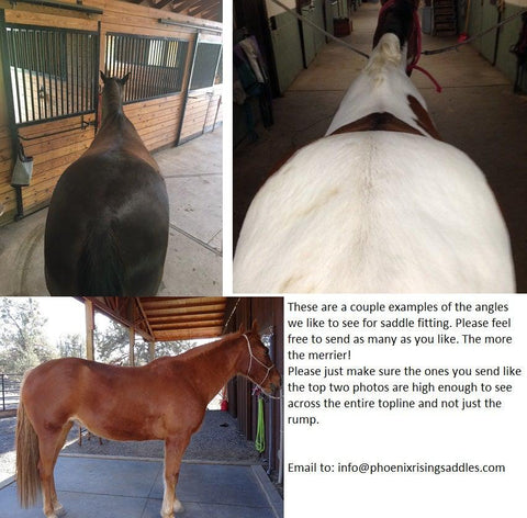 fitting your imus 4-beat gaited saddle