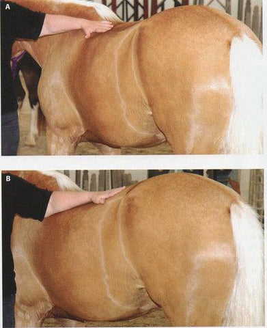 saddle twist explanation