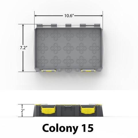 Colony 15 Dimensions