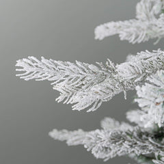 Buy Frosted Christmas Trees