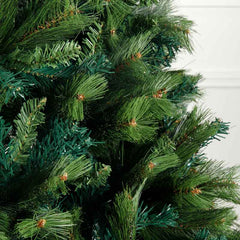 Buy pine Christmas trees at Taskers