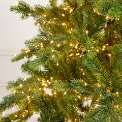 Buy spruce Christmas trees at Taskers
