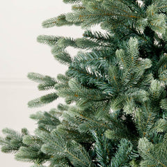 Buy Fir Christmas Trees