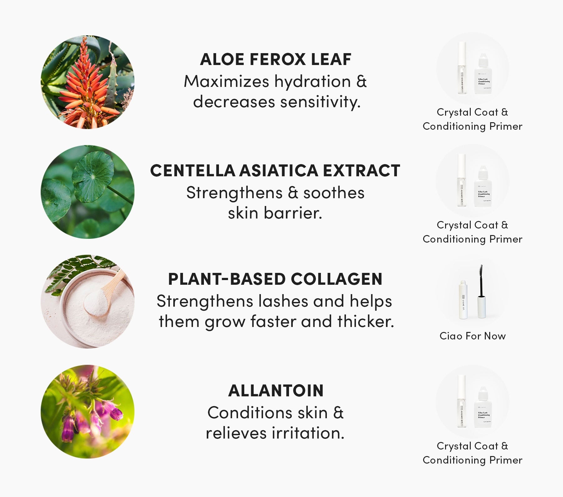 Aloe Ferox Leaf maximizes hydration and decreases sensitivity. Available in Crystal Coat and Conditioning Primer. Centella Asiatica Extract strengthens and soothes skin barrier. Available in Crystal Coat and Conditioning Primer. Plant-Based Collagen strengthens lashes and helps them grow faster and thicker. Available in Ciao for Now. Allantoin conditions skin and relieves irritation. Available in Crystal Coat and Conditioning Primer. 