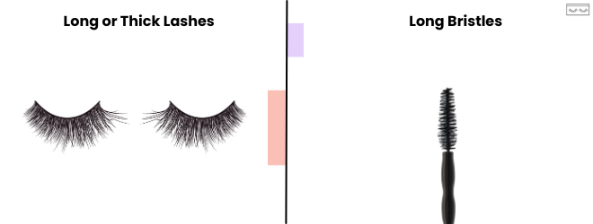 mascara brushes for long lashes