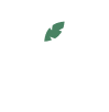 Logo Ananda Professional