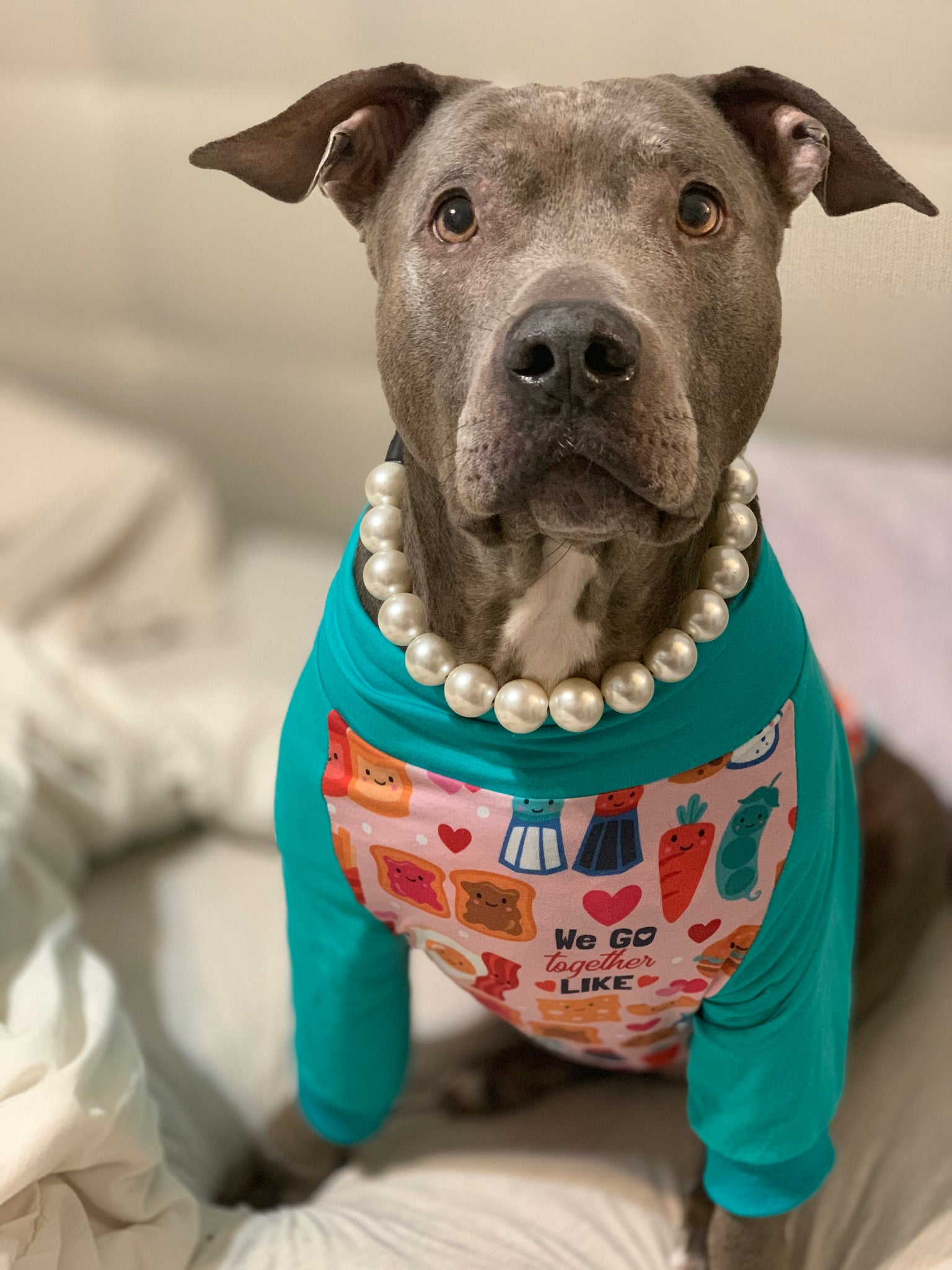 Mermaid Diamond Star Pearl Dog Collar Necklace – FrankandBeanz Fancy Jewelry  and Toys for Pets