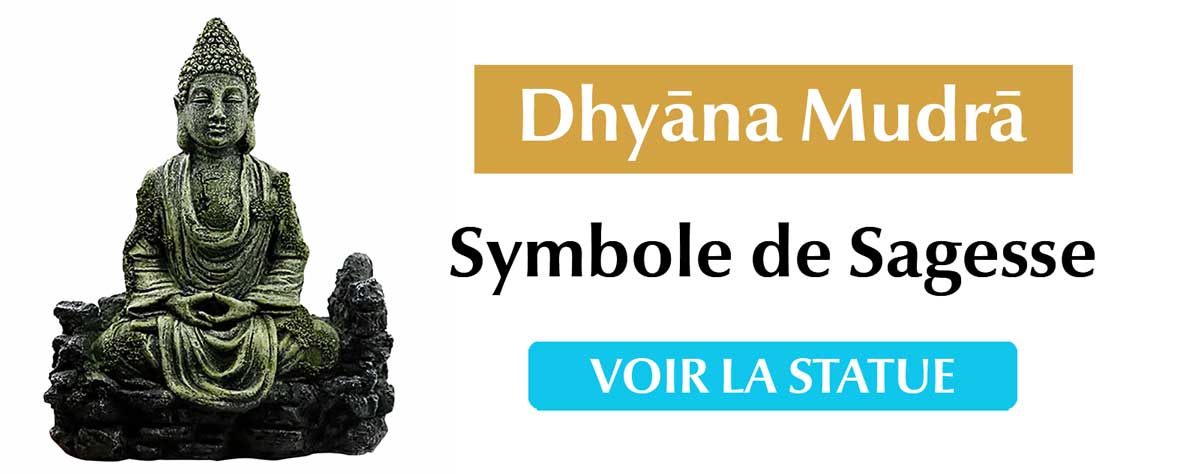 Dhyāna Mudrā Signification