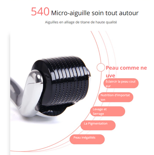 derma rouleau micro aiguilles titane microneedle