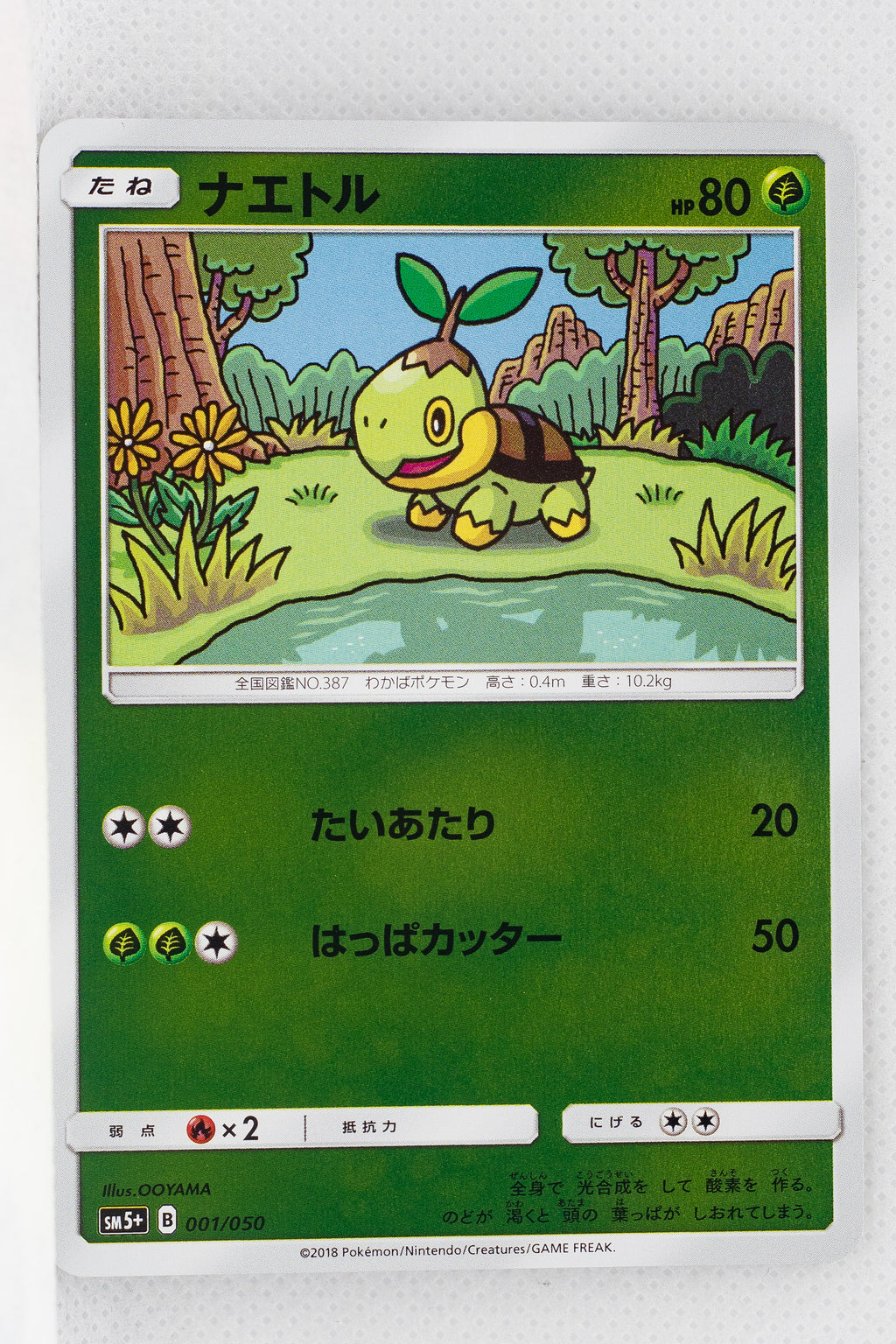 Sm5 Ultra Force 001 050 Turtwig Reverse Holo Thecardcollector Uk