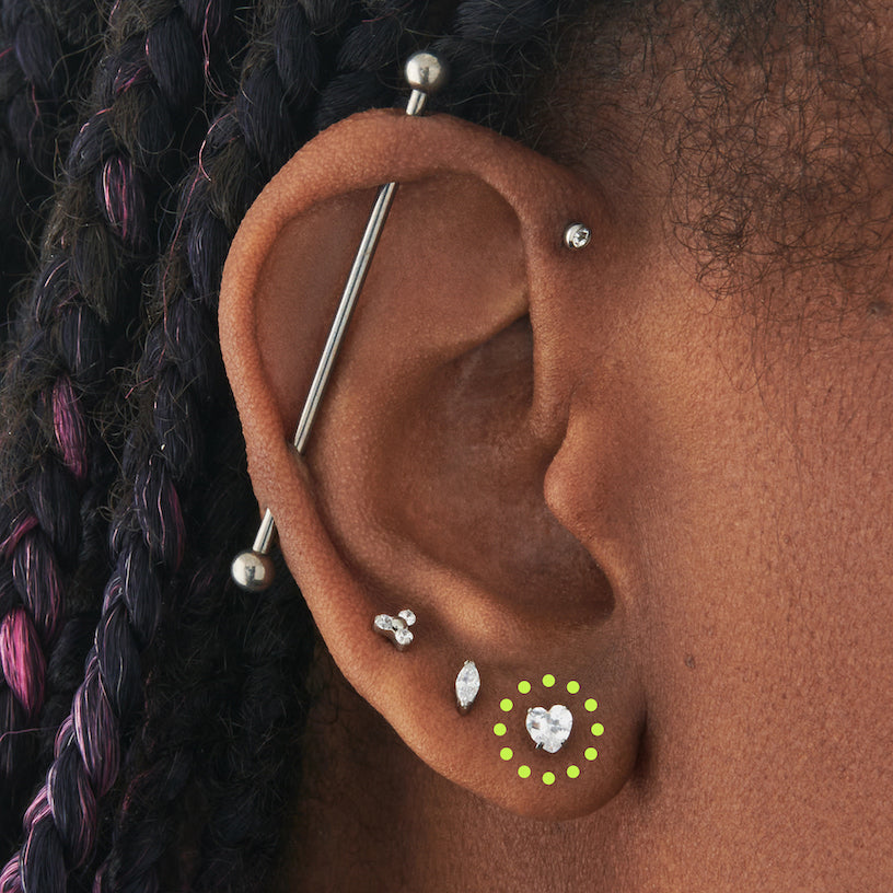 An image of an ear with the first lobe piercing circled.