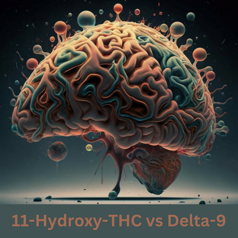 Delta 9 THC vs 11-Hydroxy-THC