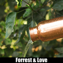 Link zu Forrest & Love