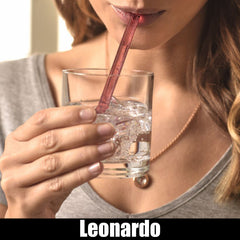 Link zu Leonardo