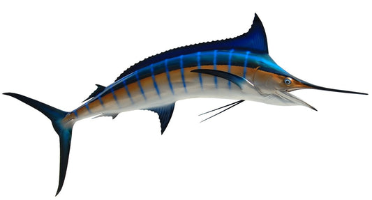 Guy harvey fish - Gem