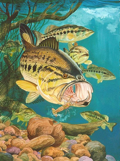 LARGEMOUTH BASS WITH CRAWDAD - Guy Harvey