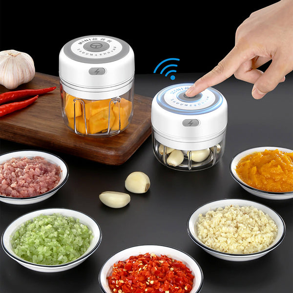 Mini Electric Food Processor