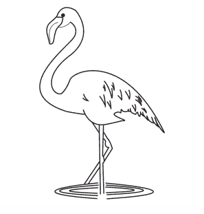 Comment Dessiner Un Flamant Rose Soleil Co