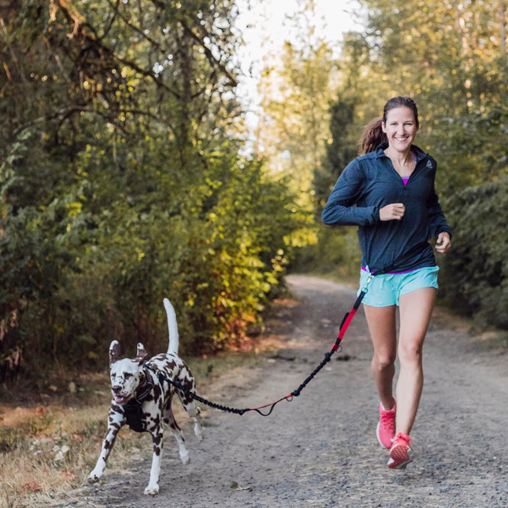 The 10 Best Hands-Free Dog Leashes (+5 Harnesses) for Running in 2023 –  Runner's Athletics