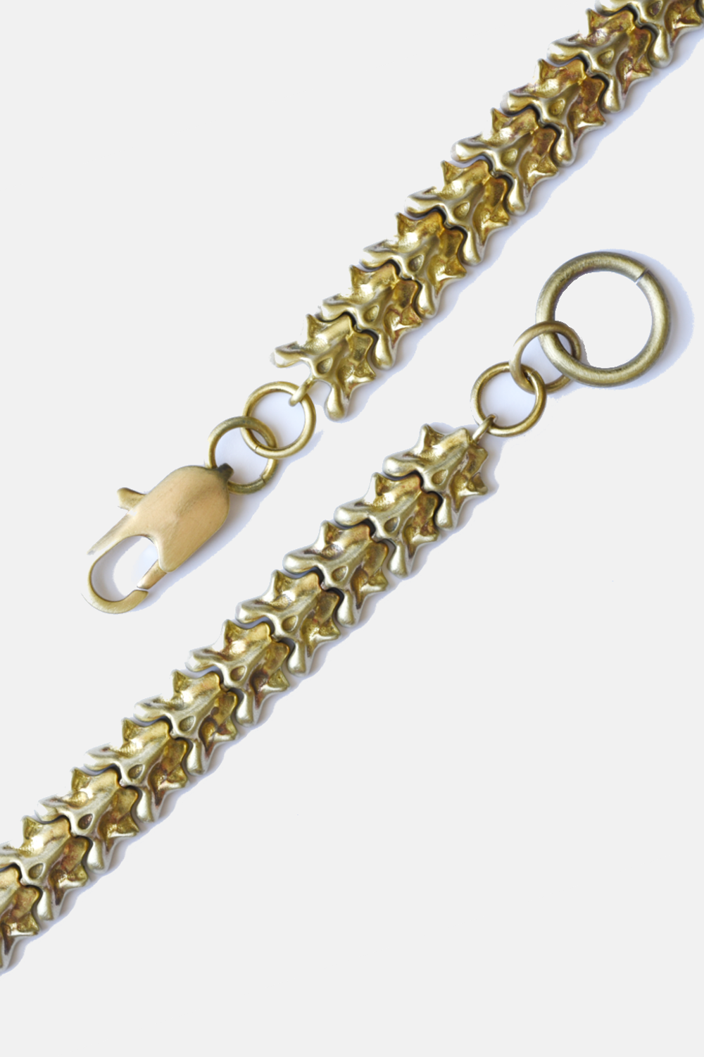 Vertebrate Chain Bracelet