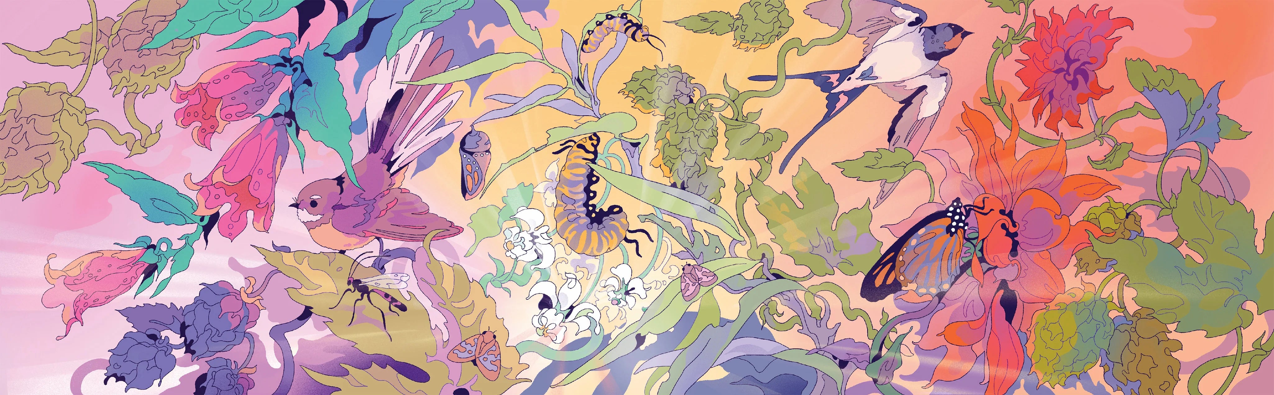 2025 Hāpi Sessions Pack background