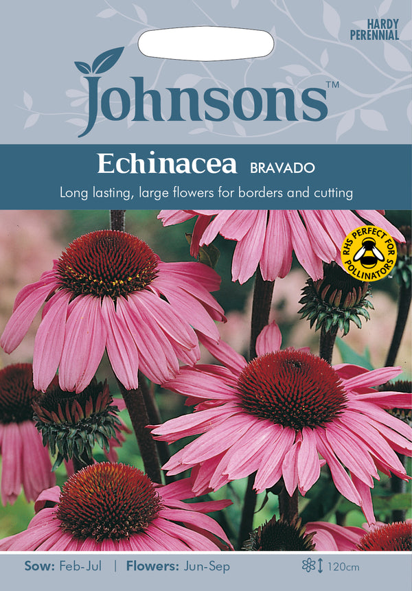 Johnsons 121133 Echinacea purpurea - Echinacea Bravado