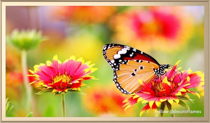 Spring Florals and Samsung Frame TV The Perfect Pairing for a Fresh Look