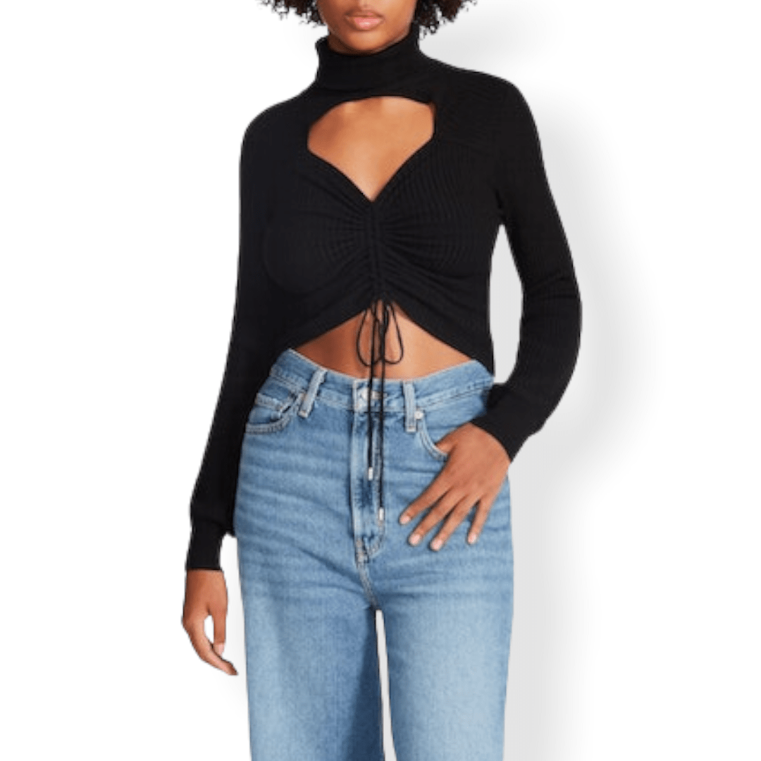 BB Dakota Hazel Sweater in Black