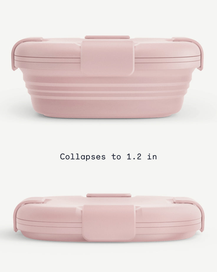 STOJO Collapsible Sandwich Box – Carnation Pink, 24oz - Reusable Food  Storage Container - To-Go Trav…See more STOJO Collapsible Sandwich Box –