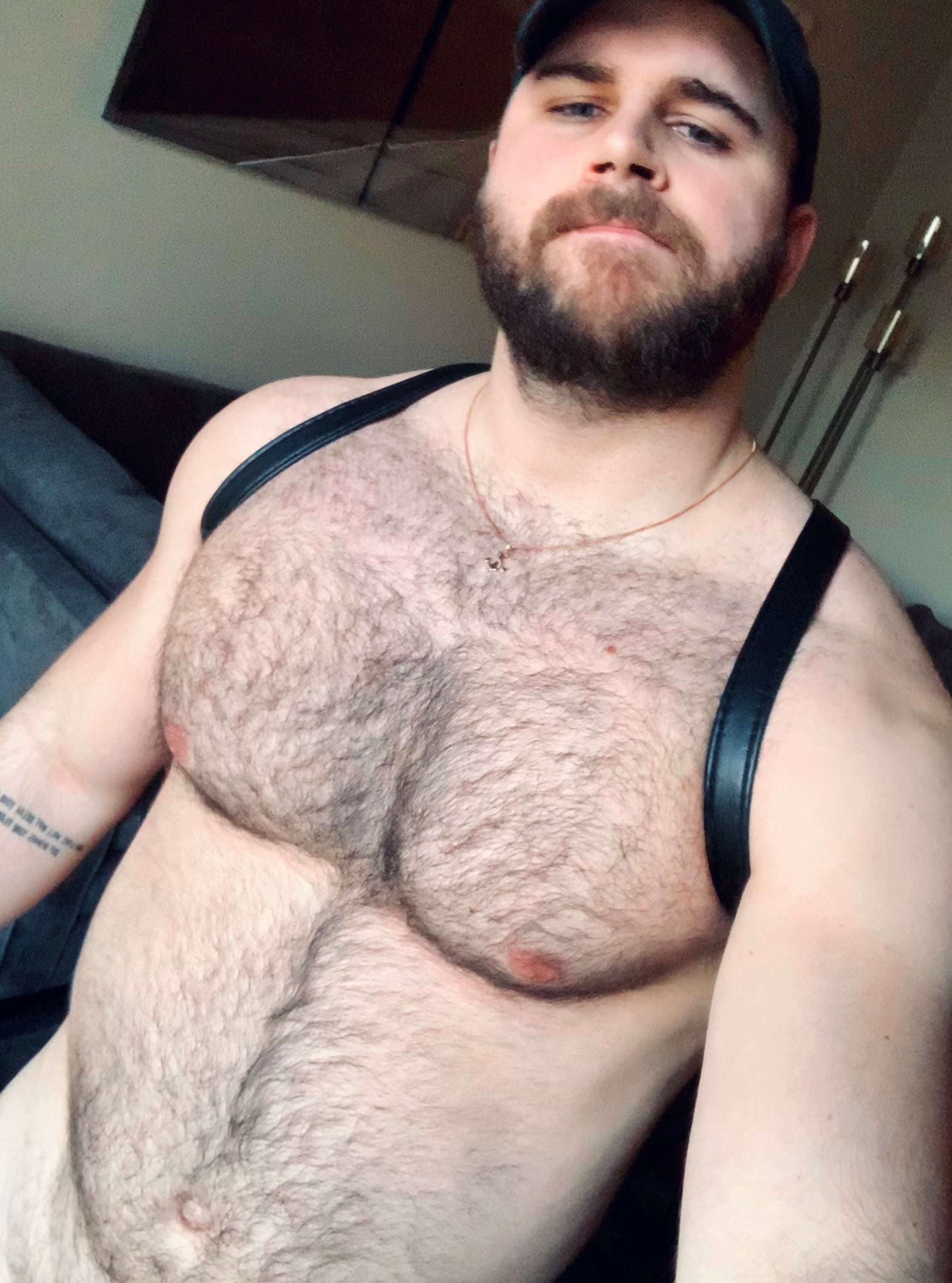 Shoulder Harness