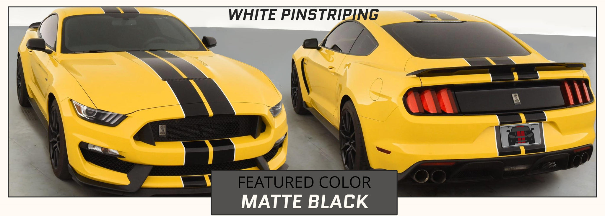 gt350 racing stripes