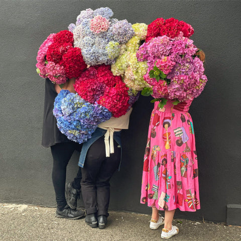 The Green Room Florists holding hydrangeas