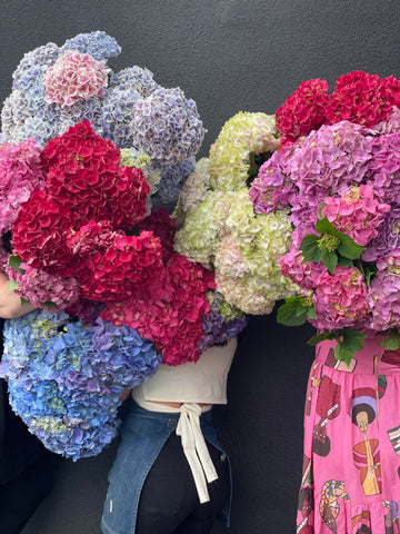 The Green Room Florist hydrangeas