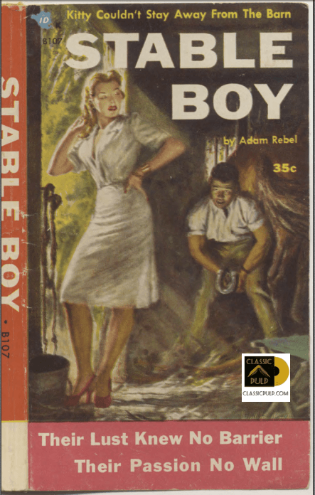 Vintage Porn Books - Risque & Erotica Books | vintage Dirty stories & Sleazy Tales â€“ Classic Pulp