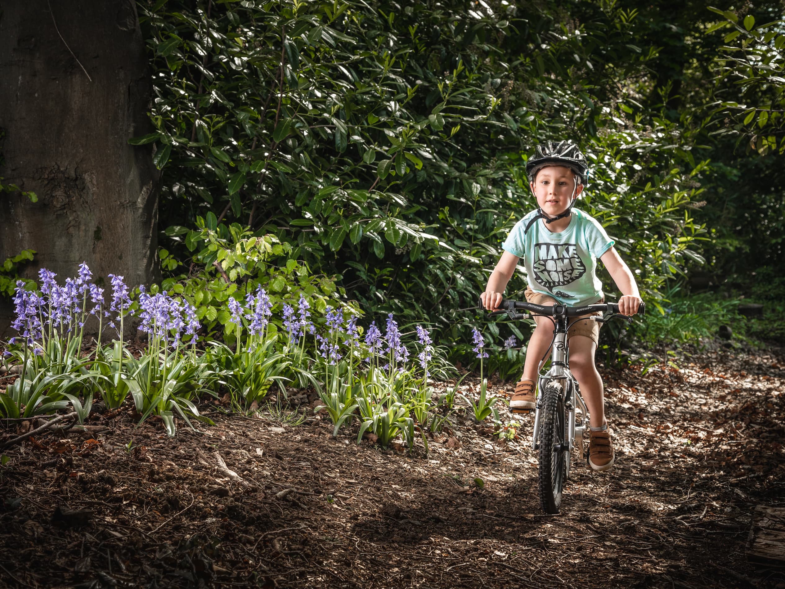 Child cycling past some bluebells near a tree trunk