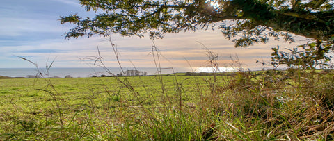 Coombe Haven and the gribben head 