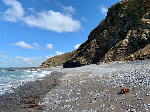 Sprocket on Millook Haven beach near bude cornwall 